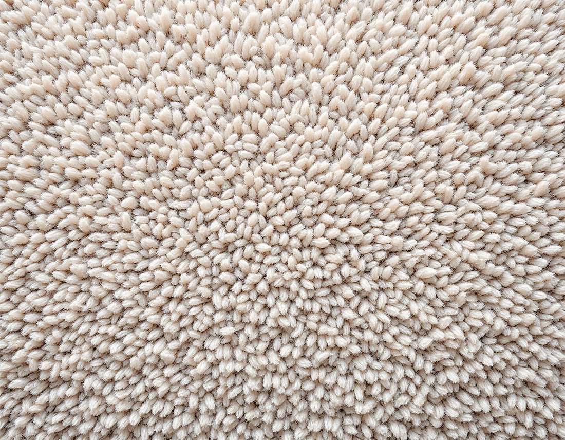 Newly installed plush wall-to-wall carpet stretched tight across a bright Northern Nevada living room.